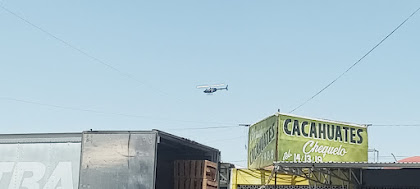 Foto: Objetivo7fotógrafos/Cuauhtémoc Villegas Durán.