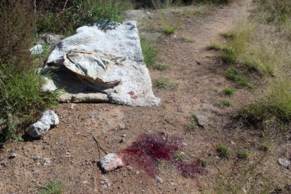 CNSP sigue ocultando asesinatos