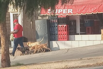 Les avienta los perros a los vecinos en Villa Montaña y nadie le hace nada