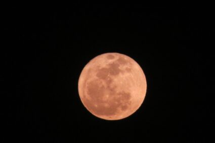 Luna de rosas