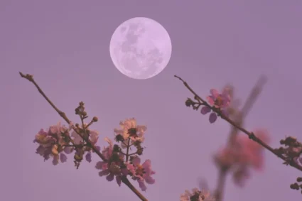 Termina la Feria de San Marcos; sismo en Nuevo León; luna de flores