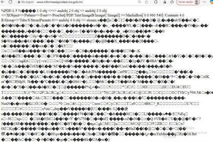 Así amaneció la web del CNSP: no hay datos de asesinatos