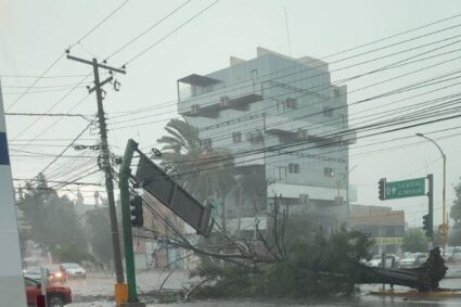 Lluvia tumba árbol y señalamiento en La Purísima