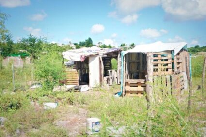 147 familias desplazadas viven en el basurero de Culiacán