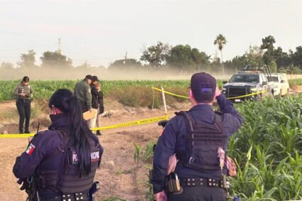 Fin de semana sangriento: 109 homicidios en el país